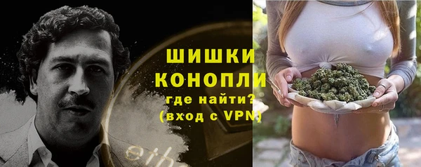 a pvp Белокуриха